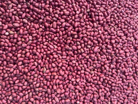 [1kg] Đỗ lạc đỏ Thái Bình (đậu phộng)