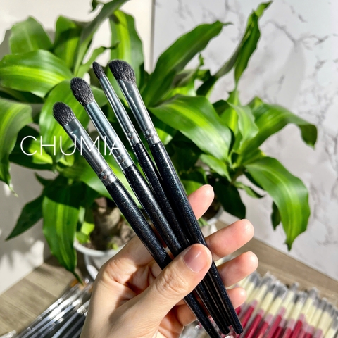 Set cọ 4 cây (cọ mắt, cọ mũi new2025)