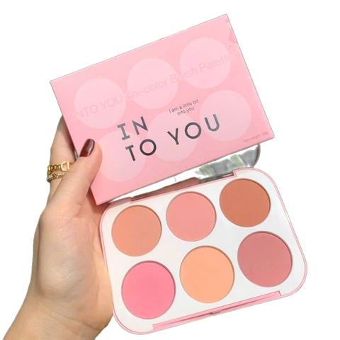 Má hồng INTO YOU you six color blush palette