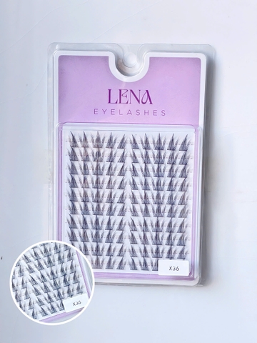 Mi LENA (chùm) - #X36