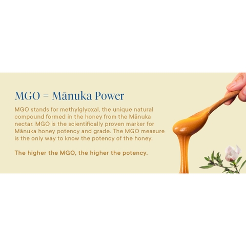 MIX 4 VIÊN KẸO NGẬM MẬT ONG MANUKA Health Honey Lozenges VỊ LÝ CHUA ĐEN (Blackcurrant), CHANH, GỪNG, KEO ONG (Propolis)