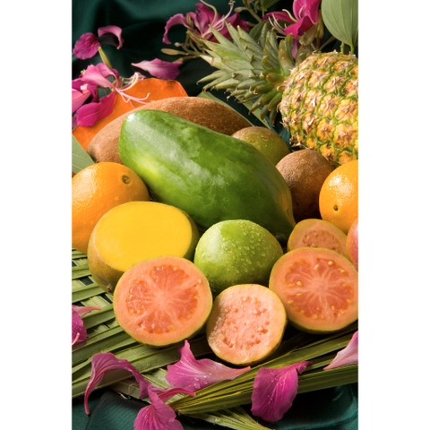 GIỌT NƯỚC TRÁI CÂY KHÔNG ĐƯỜNG Vital Zing Water Drops Flavour Enhancer, Tropical - Black Cherry - Tropical Fruit, 45ml