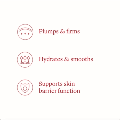 BỘ 4 MẪU THỬ Limited Edition Mini Essentials: SỮA TẮM - DẦU TẨY TRANG Rosehip Cleansing Oil - KEM DƯỠNG ẨM - CHỐNG NẮNG