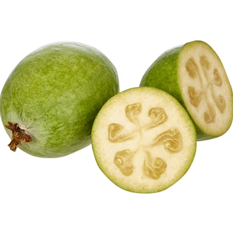 [Đặc trưng New Zealand] ỔI DỨA SẤY LẠNH GIÒN Little Beauties Freeze-Dried Crunchy FEIJOA SLICES, 80g