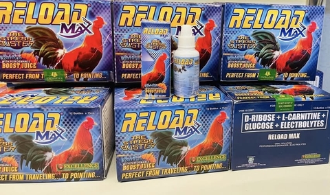 RELOAD PLUS
