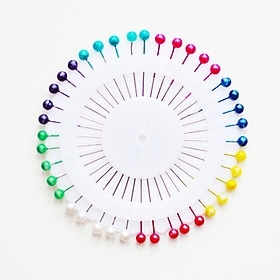 Vỉ kim ghim định vị