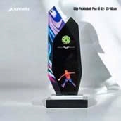 Cup Pickleball Pha Lê 02