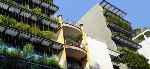 Triple E Hotel: Khách sạn xanh giữa lòng Sài Gòn với lớp màng lọc nhiệt đới ấn tượng