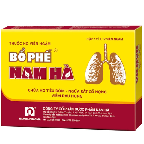 Viên ngậm ho Bổ Phế Nam Hà tiêu đờm, bổ phổi, sát trùng họng (hộp 2 vỉ x 12 viên)