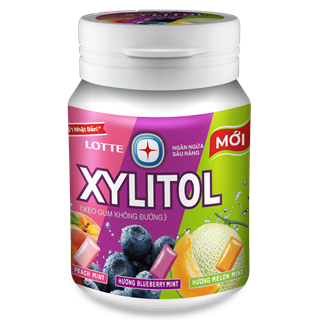 Kẹo Gum Xylitol Không Đường Vị Trái Cây Hỗn Hợp (hũ x 55,1g)