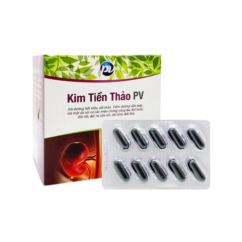 Thuốc Kim tiền thảo PV điều trị sỏi tiết niệu, sỏi thận (hộp 10 vỉ x 10 viên)