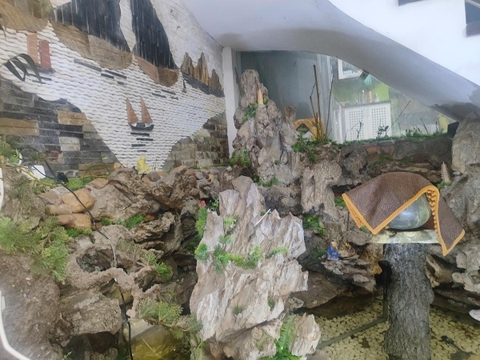 NHÀ PHÂN LÔ MAI DỊCH