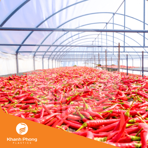 Màng nhà kính phơi sấy nông sản