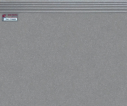 GT0008