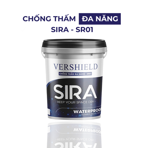 Sơn