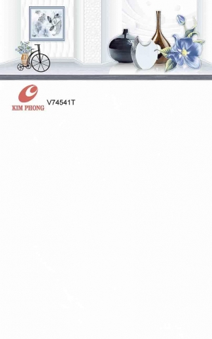 V74541T