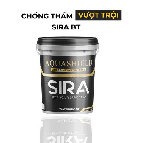 Sơn