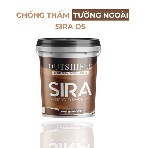 Sơn