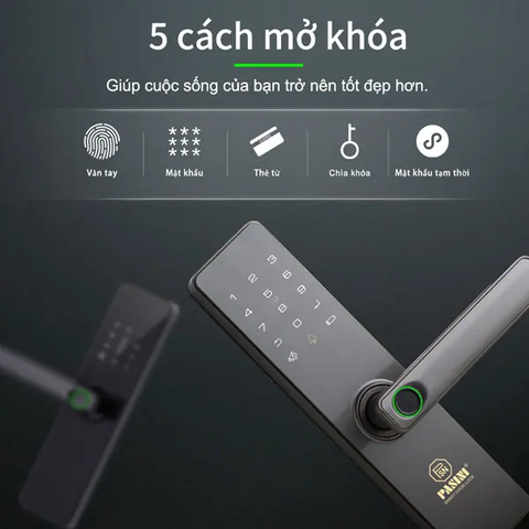 Khóa vân tay cửa gỗ PASINI PS01VG50 màu xám