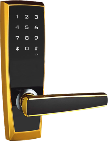 Khóa điện tử NewNeo M116E98