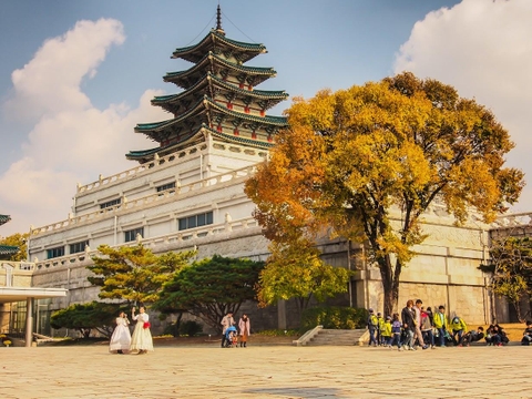 KHÁM PHÁ MÙA THU VÀNG “XỨ SỞ KIM CHI” HÀN QUỐC 2026: HÀ NỘI – SEOUL – NAMI – EVERLAND – HÁI TÁO