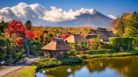 TOUR DU LỊCH NHẬT BẢN MÙA THU 2026: CUNG ĐƯỜNG VÀNG 6N5D (NARA – OSAKA – KYOTO – NAGOYA – PHÚ SĨ – TOKYO)