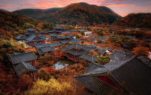 Khám Phá Sắc Thu Vàng Rực Rỡ: Busan – Gyeongju – Seoul (6 Ngày 5 Đêm)