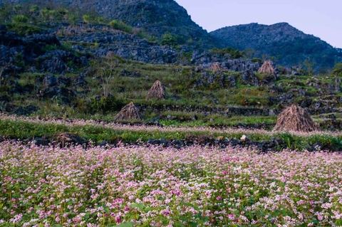 TOUR HÀ GIANG – CAO NGUYÊN ĐÁ ĐỒNG VĂN (3 NGÀY 2 ĐÊM)
