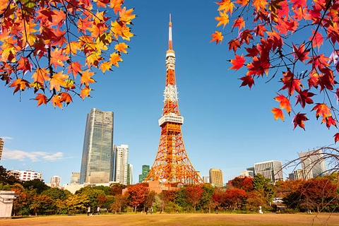 TOUR DU LỊCH NHẬT BẢN MÙA THU 2026: CUNG ĐƯỜNG VÀNG 6N5D (KOBE – OSAKA – KYOTO – NAGOYA – PHÚ SĨ – TOKYO)