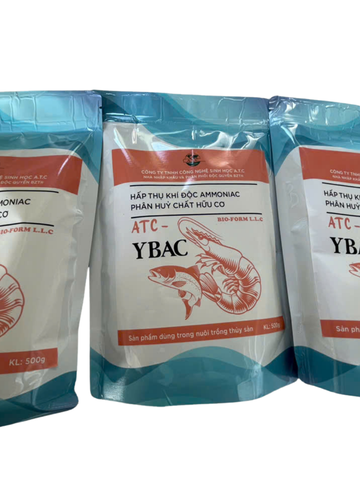 MEN YBAC