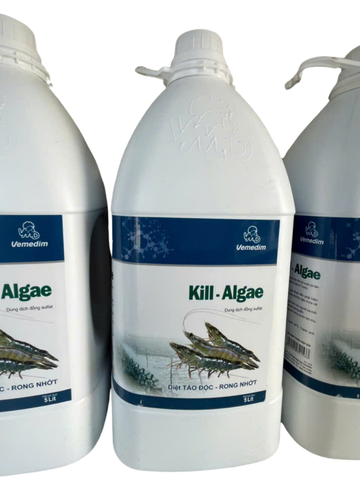 KILL ALGAE 5LIT