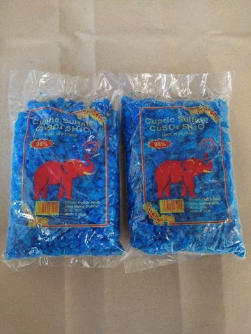 ĐỒNG CON VOI