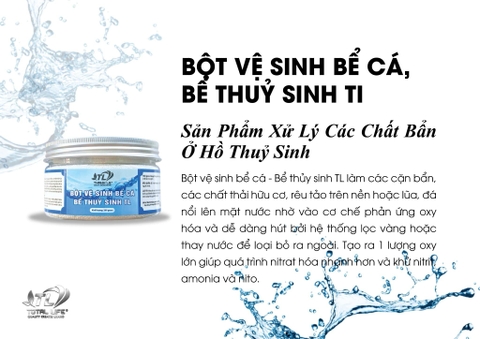 BỘT VS BỂ CÁ-BỂ THỦY SINH TL