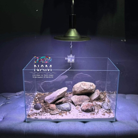 Đèn XIMA TS 50W ánh sáng trắng