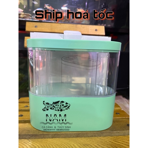 Bể cá mini để bàn FISH TANK 19cm