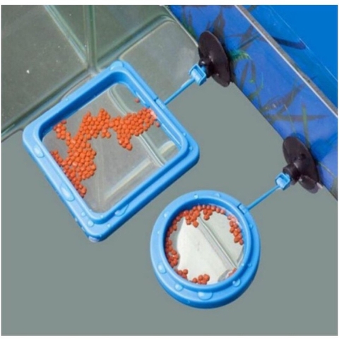 Vòng quây giữ thức ăn nổi cho bể cá (10x10cm)