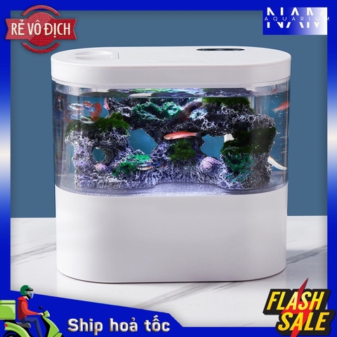 Bể cá mini để bàn FISH TANK 19cm