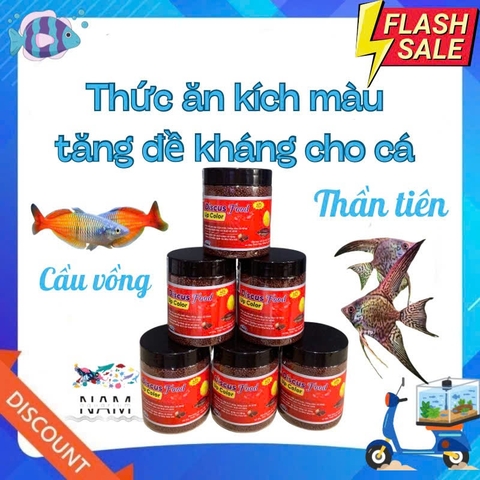 Cám DISCUS Food Up Color TL