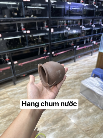 Hang gốm đồ chơi