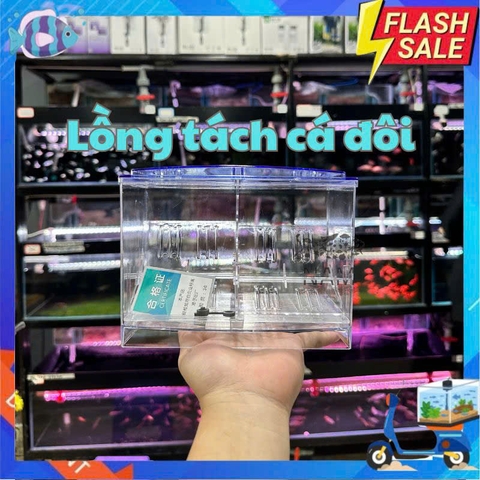 Lồng cách ly cá đôi - YEE