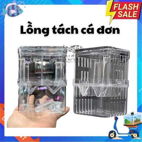 Lồng cách ly cá đơn - YEE