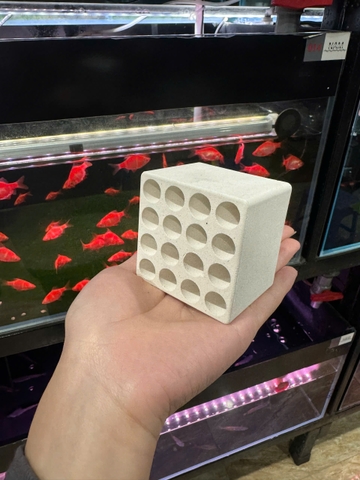 Hang gốm Chung cư Vuông lỗ trắng nhỏ ST667