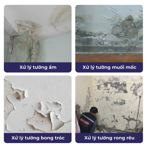 Sơn Chống Thấm Taiko CT4 – Thi Công Trực Tiếp Trên Bề Mặt Ẩm, Kháng Muối, Kháng Kiềm