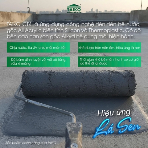 Sơn Chống Thấm Taiko CT4 Thi Công Trực Tiếp Trên Bề Mặt Ẩm, Kháng Muối, Kháng Kiềm