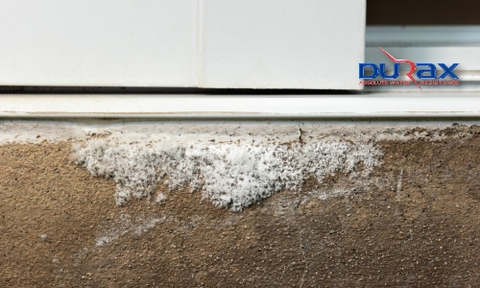 Chất Bê Tông Hóa Thẩm Thấu DURA D4 – Giải Pháp Gia Cường & Chống Thấm Kháng Muối, Kháng Kiềm Bền Vững Cho Công Trình