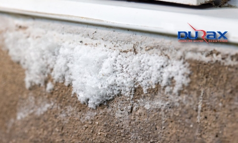 Chất Bê Tông Hóa Thẩm Thấu DURA D4 – Giải Pháp Gia Cường & Chống Thấm Kháng Muối, Kháng Kiềm Bền Vững Cho Công Trình