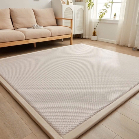 Chăn ga gối đệm 07