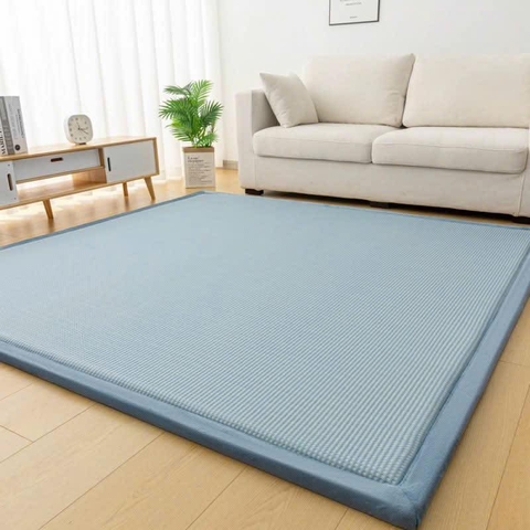 Chăn ga gối đệm 11