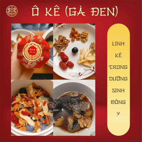 TINH HOA DƯỢC LIỆU: Ô KÊ - LINH KÊ TRONG DƯỠNG SINH ĐÔNG Y