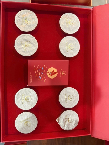 AVANEST SẤY THĂNG HOA